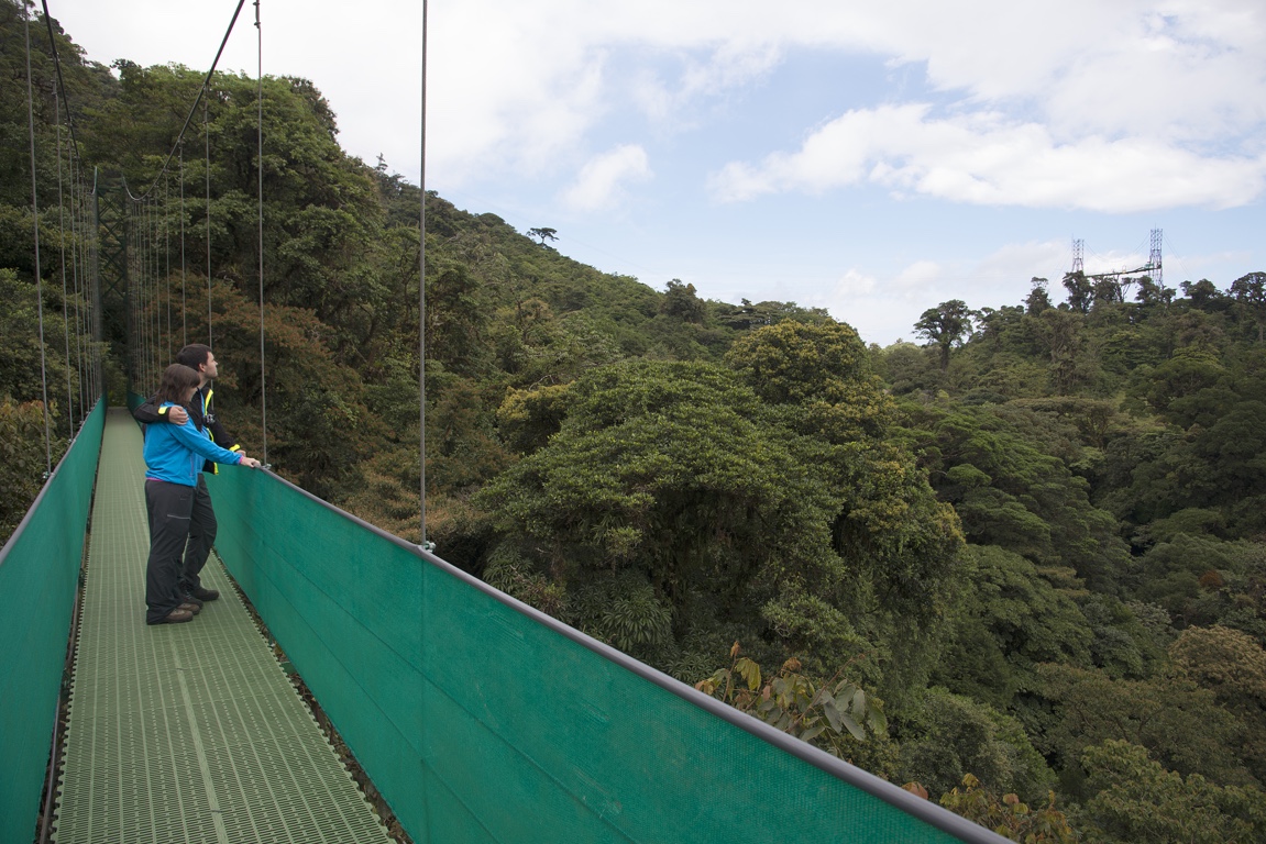 Monteverde, puentes colgantes