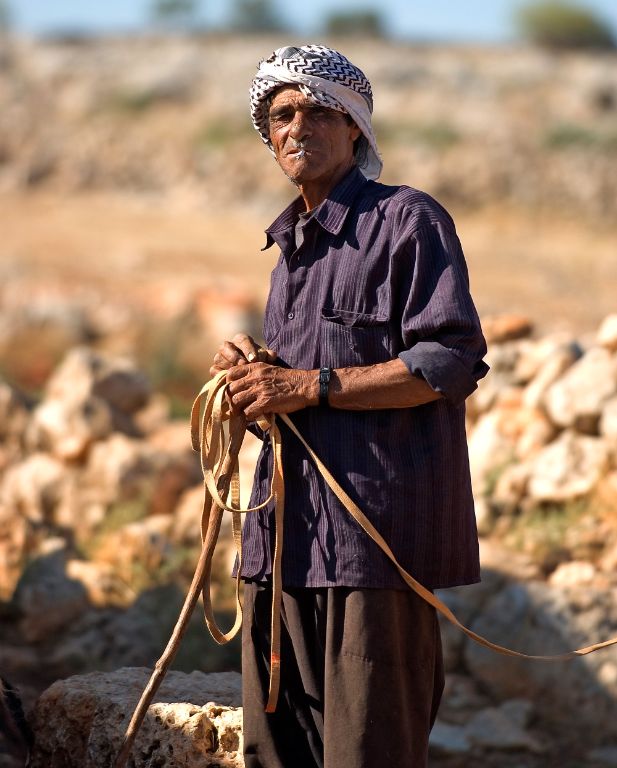 Bedouin shepherd