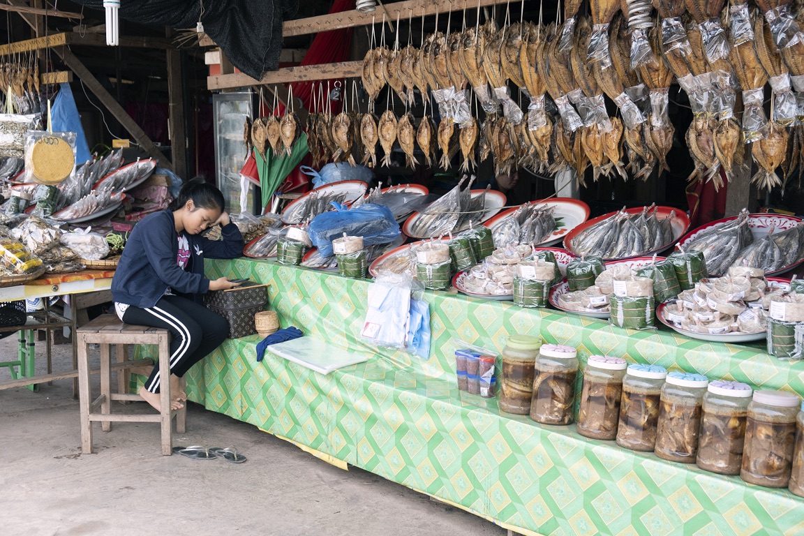 Carretera a Vientian, mercado de pescado seco