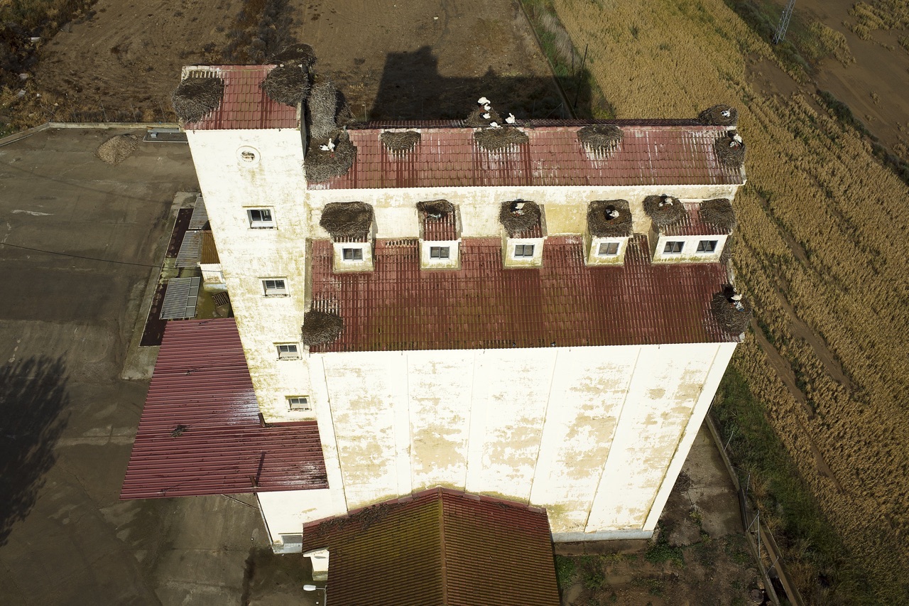 Lanaja, silo con cigüeñas (Huesca)