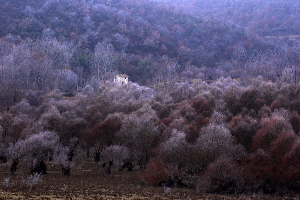 Barasona (Huesca, Spain), 2005