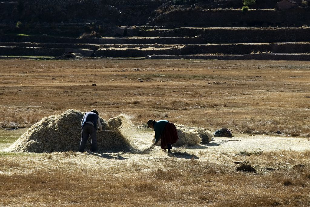 Farmers in Raqchi