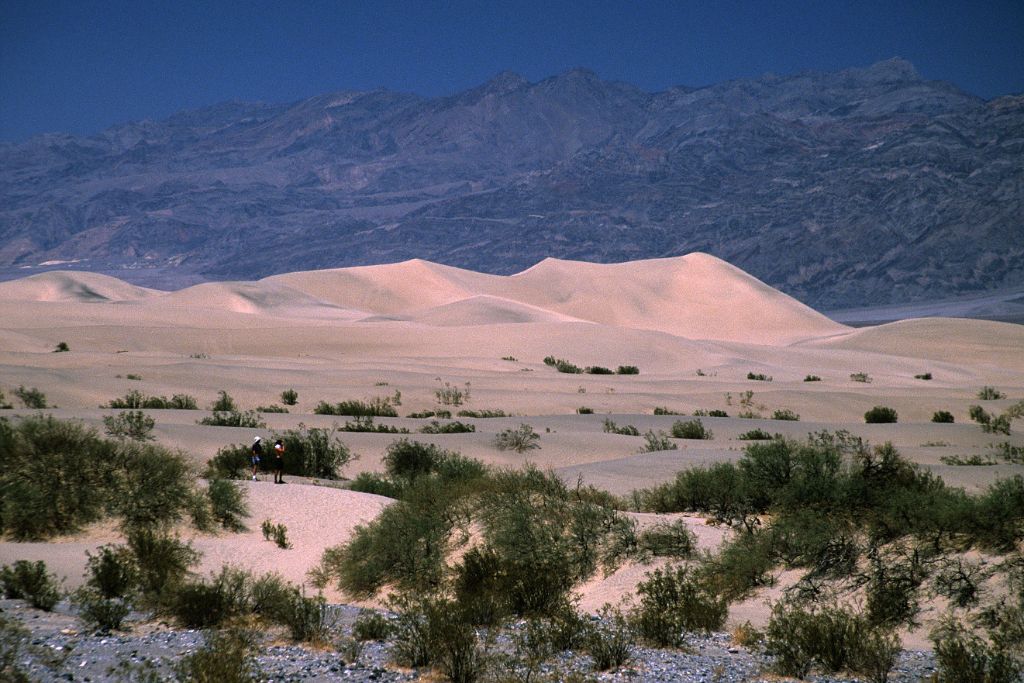 Death Valley (Valle de la Muerte)
