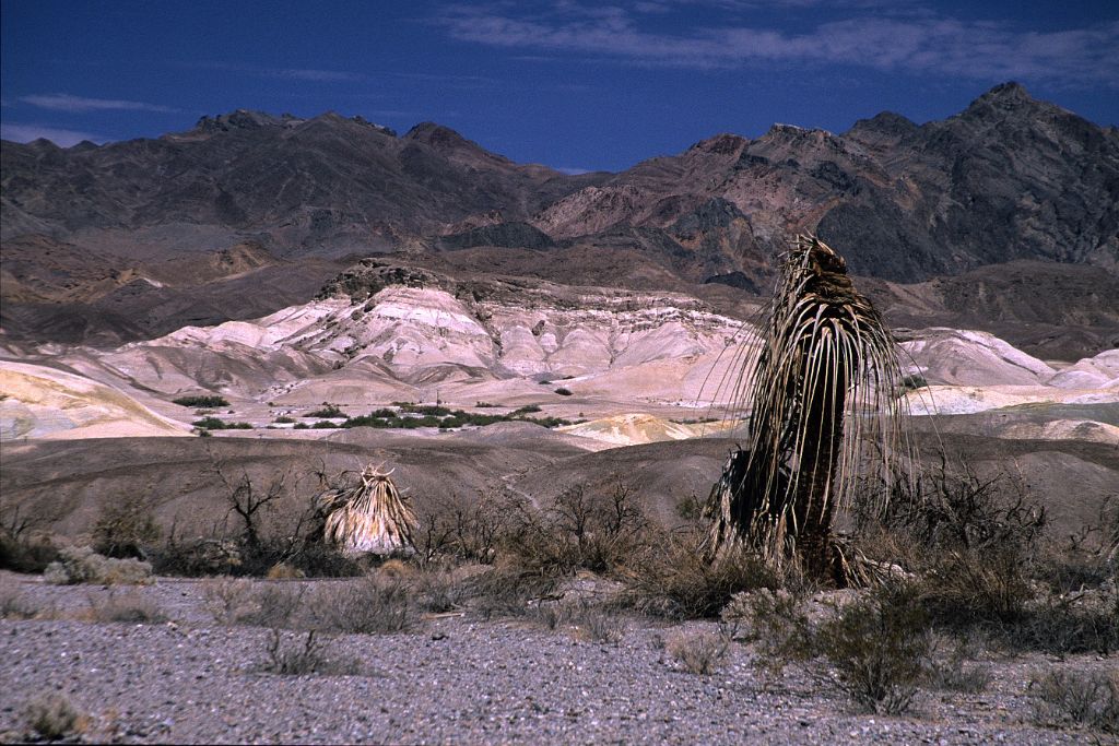 Death Valley (Valle de la Muerte)